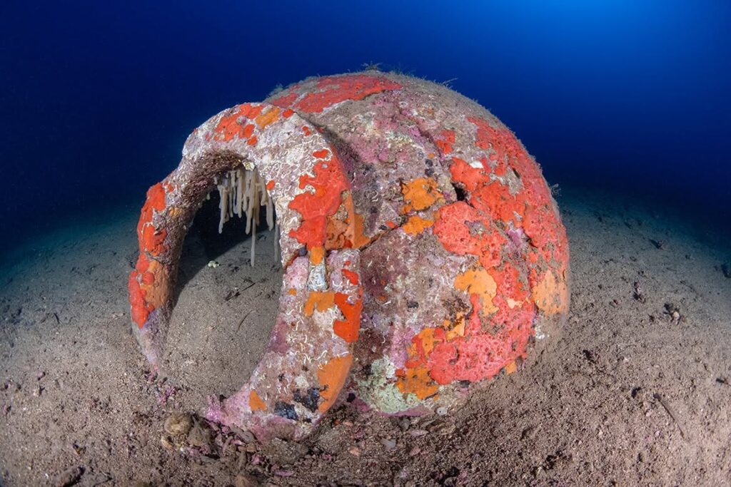 Credit: Soprintendenza Archeologia, Belle Arti e Paesaggio per le province di Pisa e Livorno