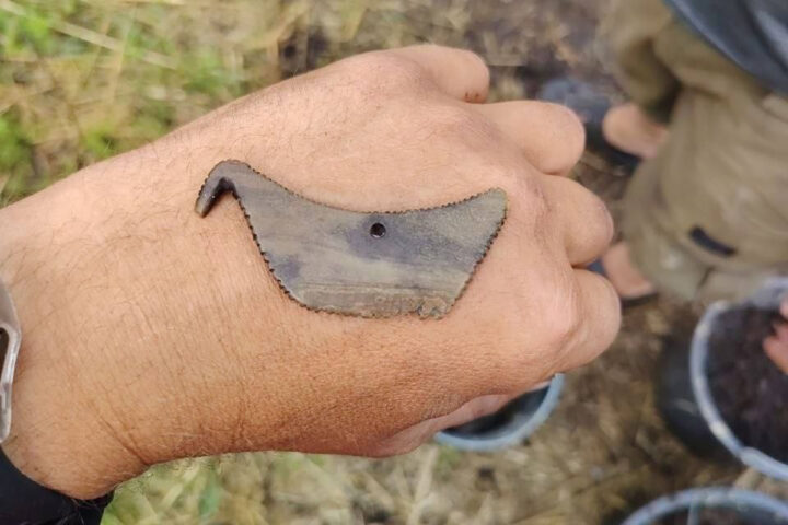 Archaeologists unearthed a rare 4,500-year-old bone amulet shaped like a duck at the Neolithic site of Osovets-2.