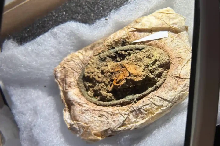 One of the brooches with textile remains. Credit: Arkæologi Vestjylland