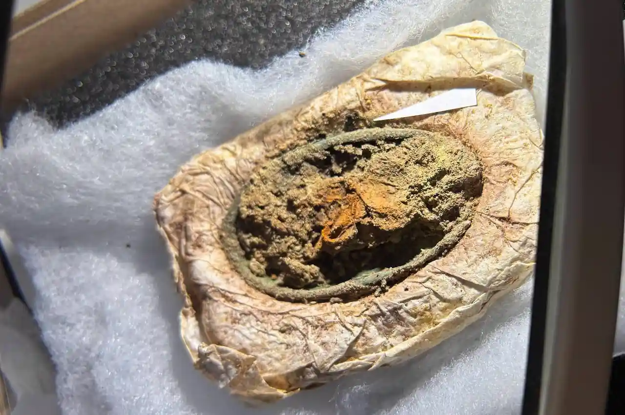One of the brooches with textile remains. Credit: Arkæologi Vestjylland