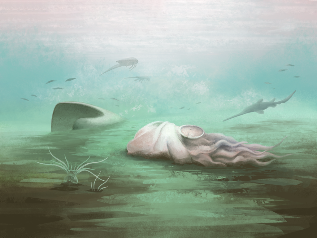 Reconstruction of a Paleocadmus decaying prior to burial in the Mazon Creek marine basin. The separated shell is visible in the background. Other Mazon Creek fauna are visible, such as the polychaete Esconites zelus (foreground) and Bandringa rayi, an elasmobranch shark (back left). Palaeoart created by Franz Anthony.