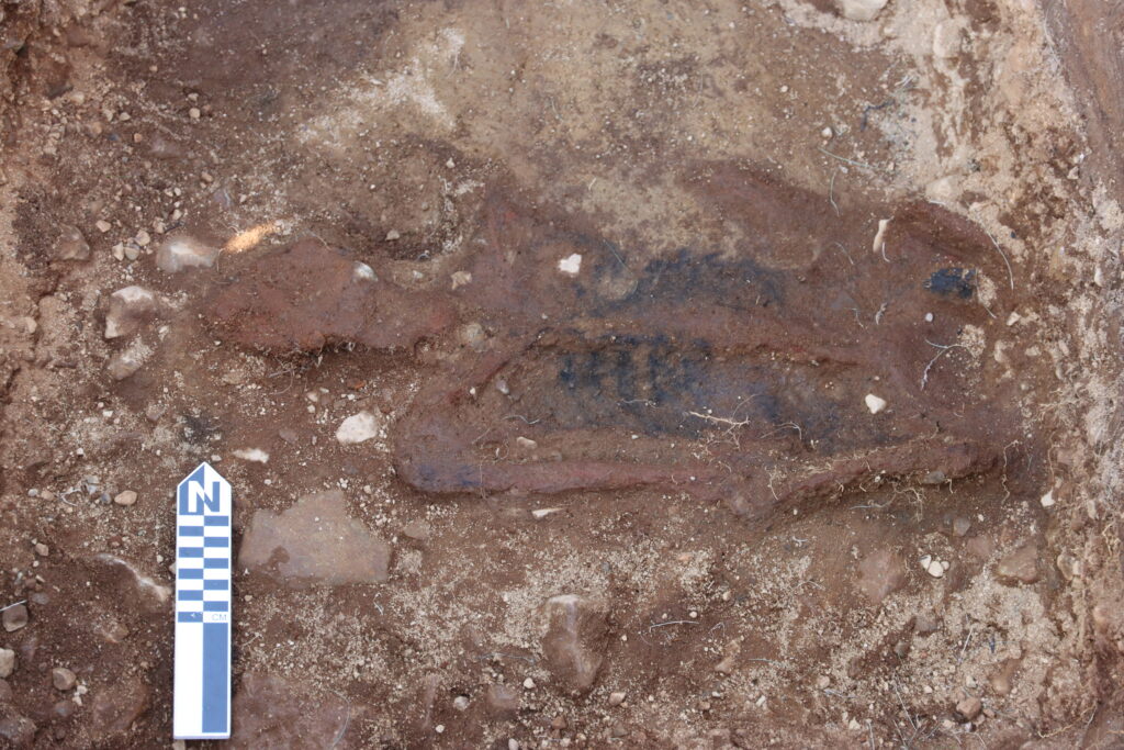 The upper body of the northern forest relief uncovered at the end of the excavation. The arrow points north. 