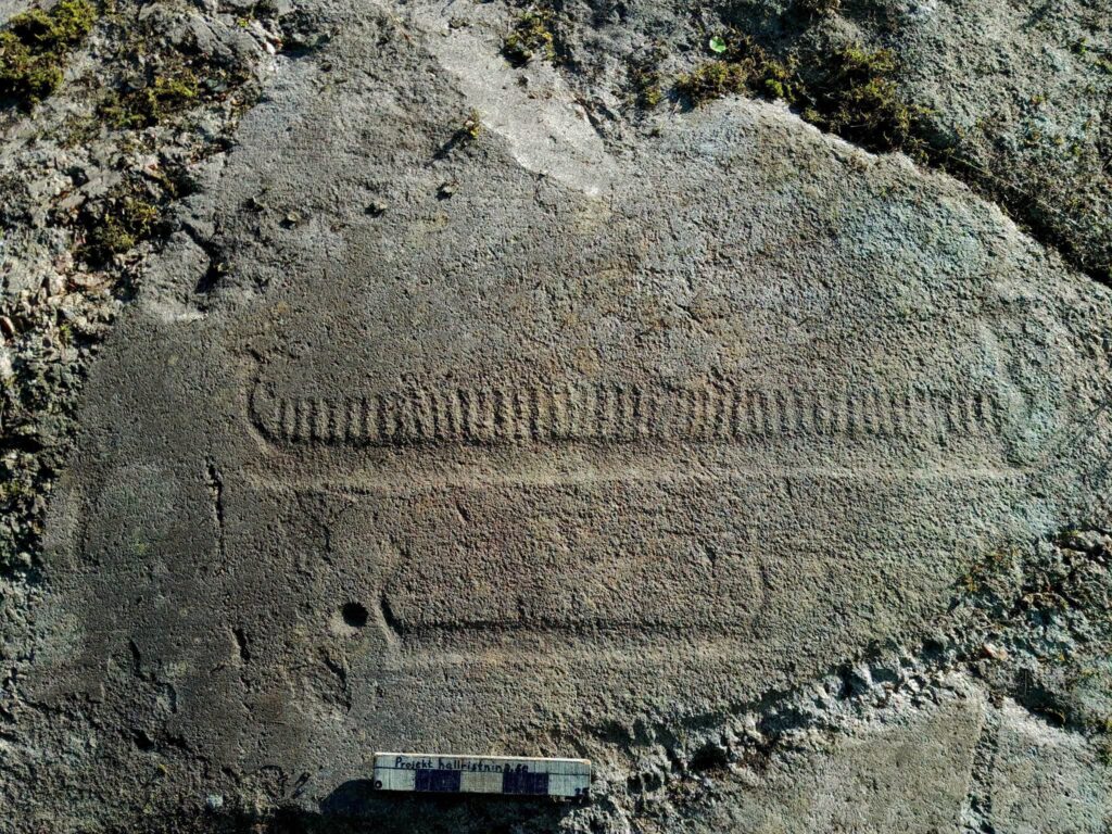 Close-up of a newly documented prehistoric ship carving on a granite rock surface at Trättelanda in Sweden’s Tanum World Heritage Site.