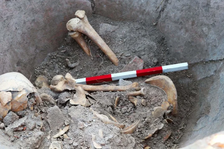 Archaeologists discovered a skeleton at the bottom of a dolium in Bulgaria. Credit: Archaeologia Bulgarica
