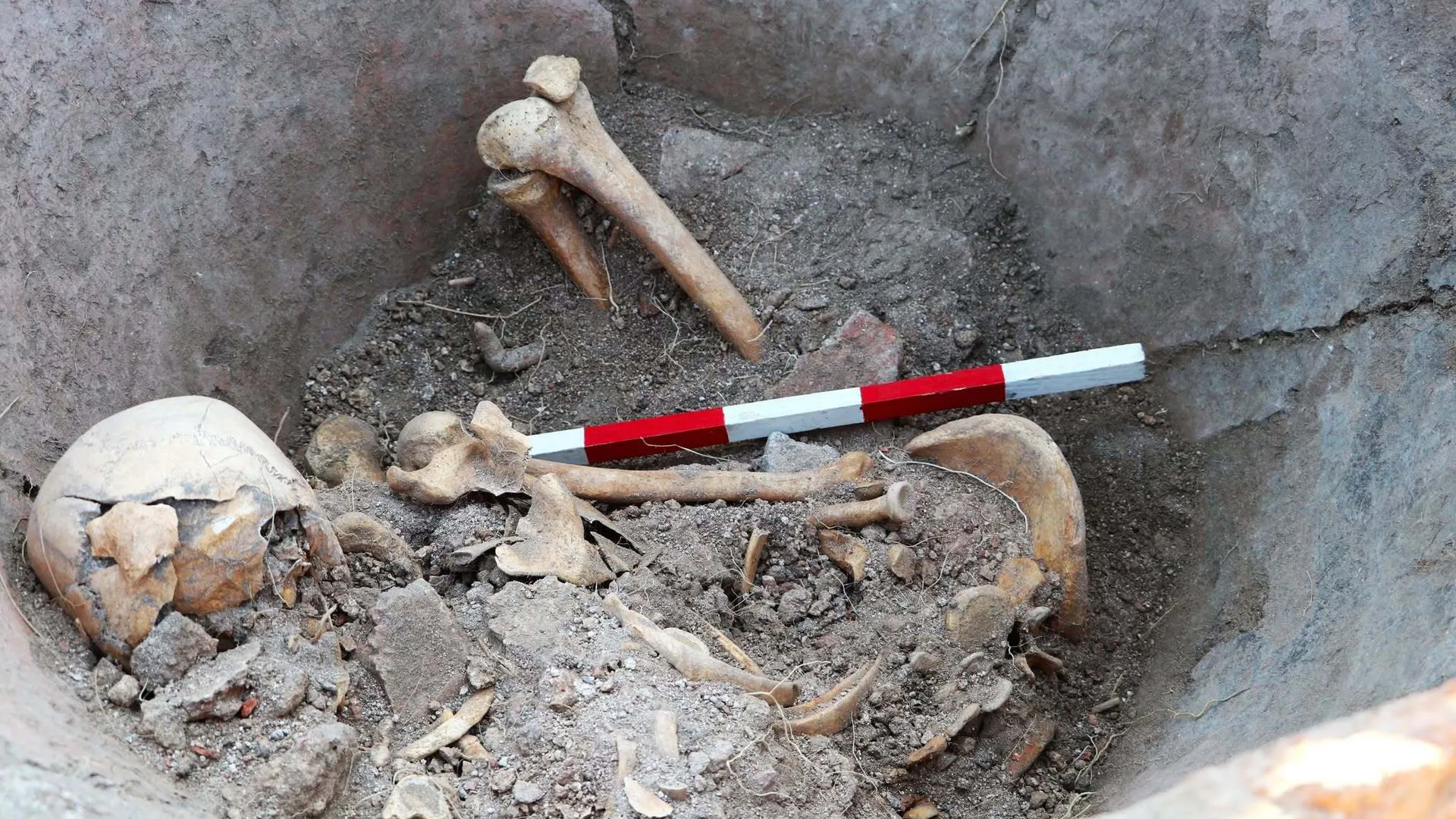 Archaeologists discovered a skeleton at the bottom of a dolium in Bulgaria. Credit: Archaeologia Bulgarica