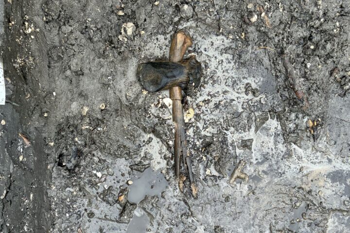 8,400-year-old deer antler axe with a preserved wooden handle discovered on Egholm Island in Denmark.