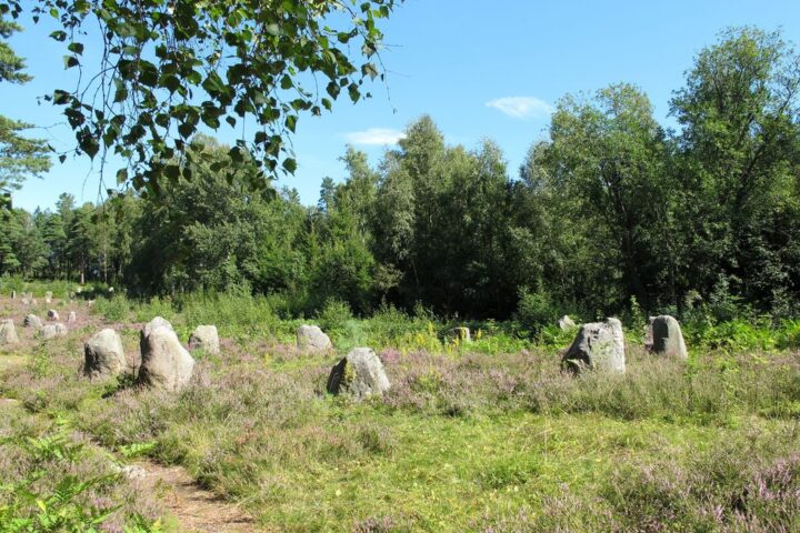 The Hunn archaeological site in Fredrikstad, Norway.